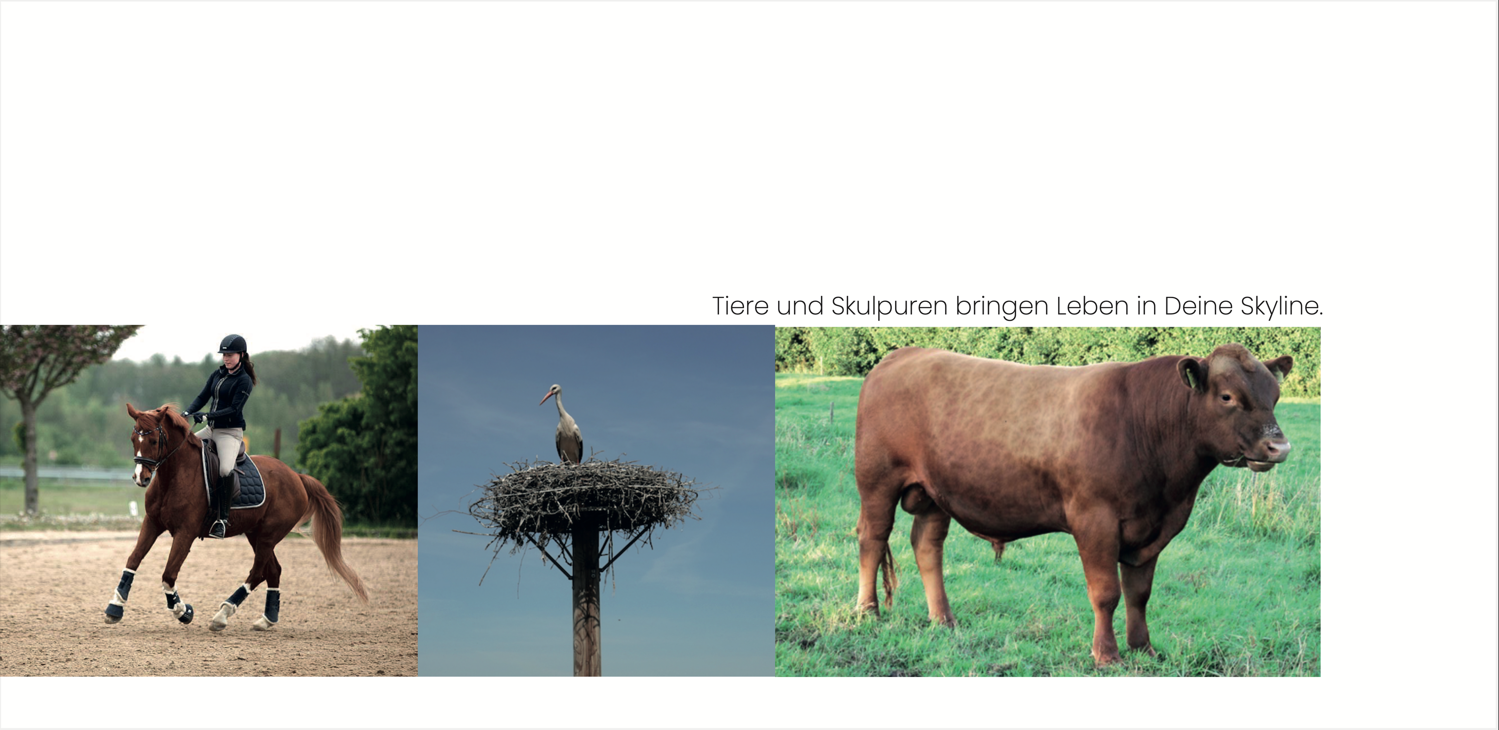 Dorfposter: Reiterin mit Pferd, Storch & Ochse Banner
